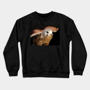 Kestrel Crewneck Sweatshirt